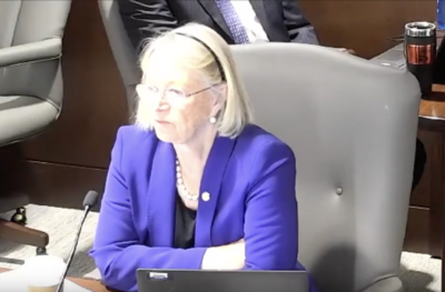 Regulators scrutinize trends on second day of rail growth hearings